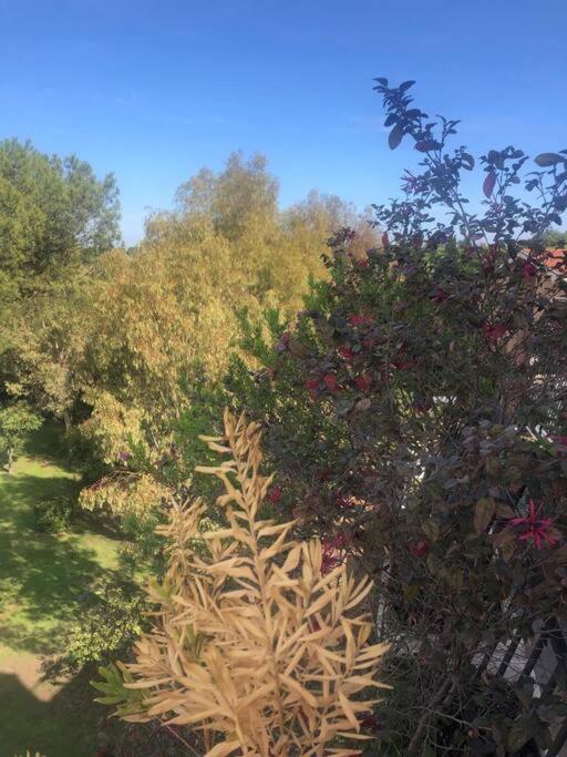 Casa Incantevole Con Vista Parco Appia Antica Villa Róma Kültér fotó