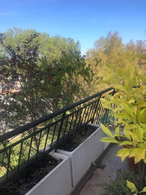 Casa Incantevole Con Vista Parco Appia Antica Villa Róma Kültér fotó